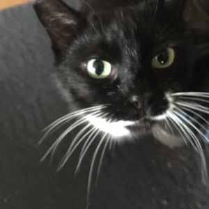 Meet your Posher, John